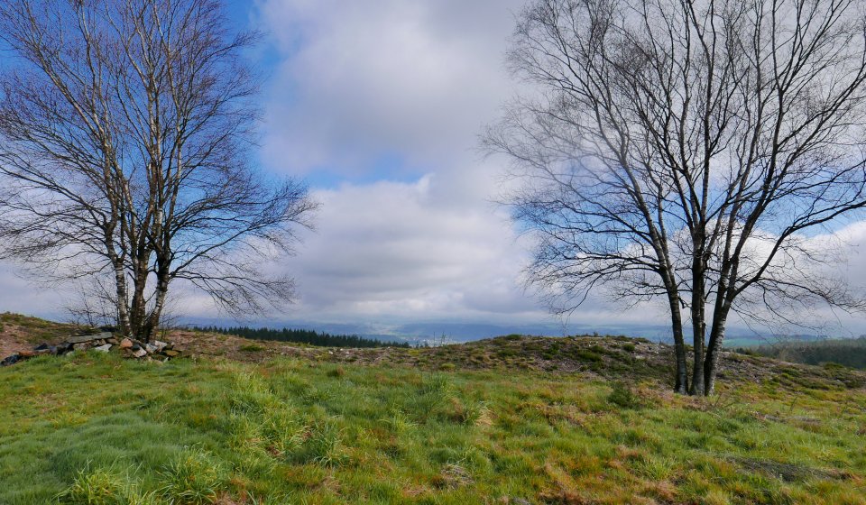 Paesaggio in Galizia, sul cammino di Santiago