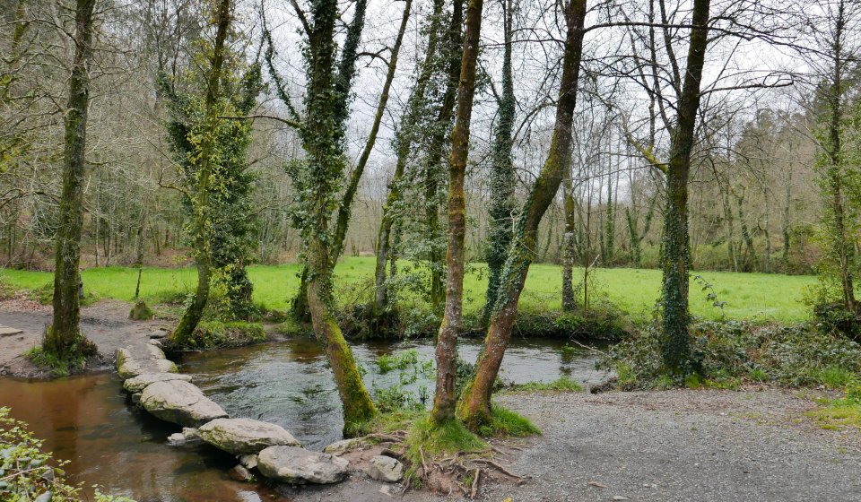 Paesaggio in Galizia, sul cammino di Santiago