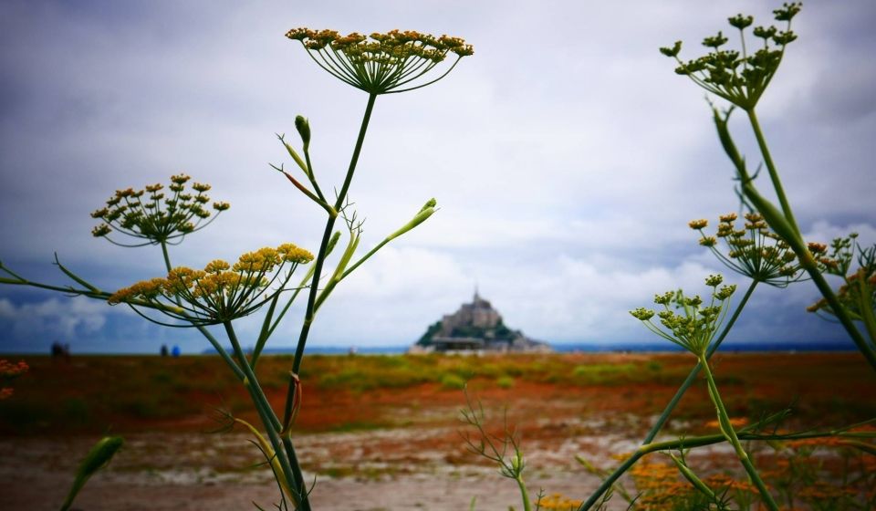 Mont Saint Michel, Francia